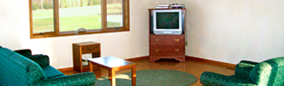 A Solid Foundations of MN home's living room